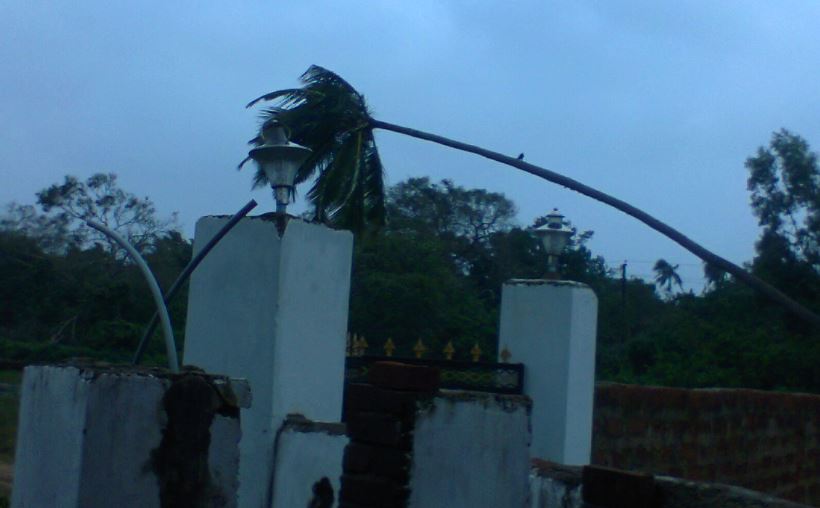Cyclone Phailin after effects