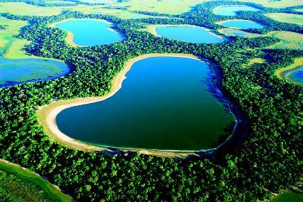 pantanal - brazil