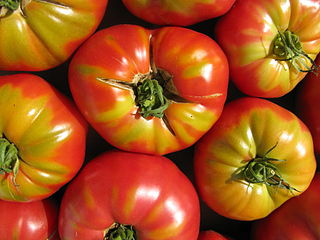 320px-End of Summer Tomatoes